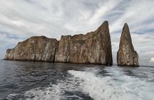 8 Days and 7 Nights Private Tour in Galapagos Islands