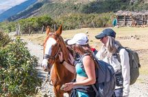 From Cusco: Humantay lake full day tour 