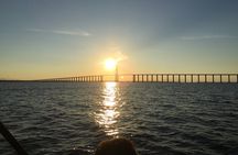 River Day Tour from Manaus