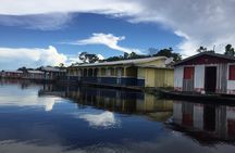 River Day Tour from Manaus