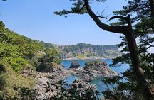 Private 2Days Tour a lot of Experience Driver in jeju island