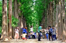 Nami Island, Cable Car, Garden of Morning Calm Panoramic Tour