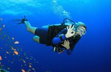 Scuba Diving Activity in Dubai with Hotel Pickup