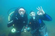 Scuba Diving Activity in Dubai with Hotel Pickup