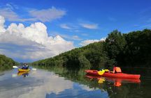  River Exploration and Mangrove Nature Tour by kayaking