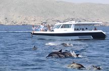 Dolphin Watching and Snorkeling Activity in Muscat
