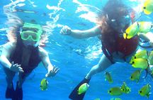 Dolphin Watching and Snorkeling Activity in Muscat