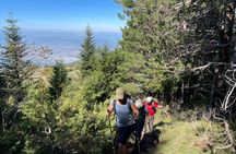 Sarajevo: Half-day Hiking Tour to Trebević Mountain