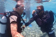 Introductory diving in small groups