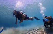 Introductory diving in small groups