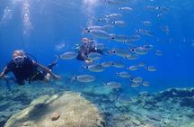 Introductory diving in small groups