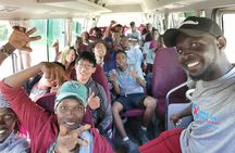 Mountain Kilimanjaro Climbing 8 Days Northern Circuit Route