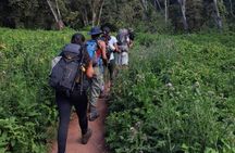 Mount Kilimanjaro via Umbwe Route 6 days Climb 