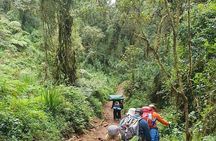 Mountain Kilimanjaro Climbing 5 Days Marangu Route