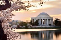 Washington : Private Custom Walking Tour With A Guide (Private)