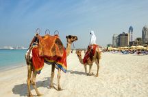 Dubai : Private Custom Walking Tour with A Guide (Private Tour)