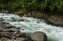 White Water Rafting Sarapiqui River | Class II - III from San Jose