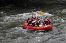 White Water Rafting Sarapiqui River | Class II - III from San Jose
