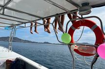 Public Sunset Catamaran