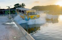 Splashy Iguana Tour in Curacao
