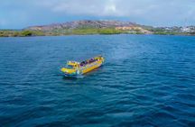 Splashy Iguana Tour in Curacao