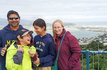Spectacular Wellington: Full Day Private Sightseeing Tour