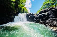 All Inclusive Catamaran To Ile Aux Cerfs And Waterfall Visit 