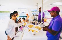 All Inclusive Catamaran To Ile Aux Cerfs And Waterfall Visit 