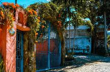 Puerto Vallarta to Sayulita Exploration Full-Day Tour 