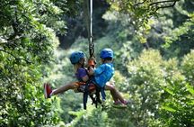 Roatan Half day Zipline beaches, suspencion, bridges & wildlife 
