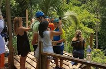 Roatan Half day Zipline beaches, suspencion, bridges & wildlife 