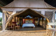 6 Days Masai Mara-Nakuru-Amboseli - Lodge Safari-Private 4X4 JEEP
