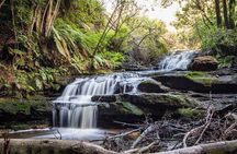 Blue Mountains Luxury Tour from Sydney