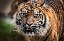 7 Day Golden Triangle Tour with Wildlife-Taj Mahal Tigers & Birds
