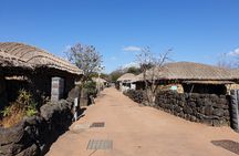 Jeju island Private Tour - UNESCO Day Tour & Haenyeo Performance
