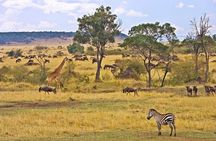 Maasai Mara 3 Day Guided Tour