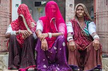 12 Day Royal Rajasthan Tour - Taj Mahal Tigers Lakes & Wildlife
