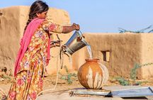 12 Day Royal Rajasthan Tour - Taj Mahal Tigers Lakes & Wildlife