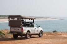 Private Tour: Udawalawe National Park Safari