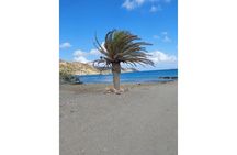 RIVIERA - Vai Palm Beach, Toplou Monastery
