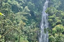 Materuni Waterfalls, Kikuletwa Chemka Hot springs, Coffee tour