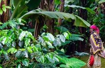 Materuni Waterfalls, Kikuletwa Chemka Hot springs, Coffee tour