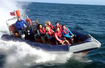 One-hour High-Speed Powerboat Ride