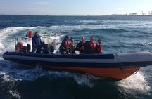 One-hour High-Speed Powerboat Ride
