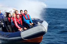 One-hour High-Speed Powerboat Ride