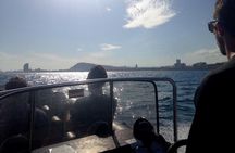 One-hour High-Speed Powerboat Ride