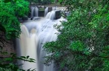 Khao Yai National Park Full-Day Tour From Bangkok