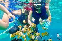 Blue lagoon and tanjung jepun snorkling all inclusive