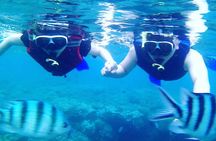 Blue lagoon and tanjung jepun snorkling all inclusive
