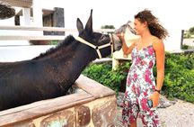 Santorini 4 hours Private Tour : Visit all the hotspots 
